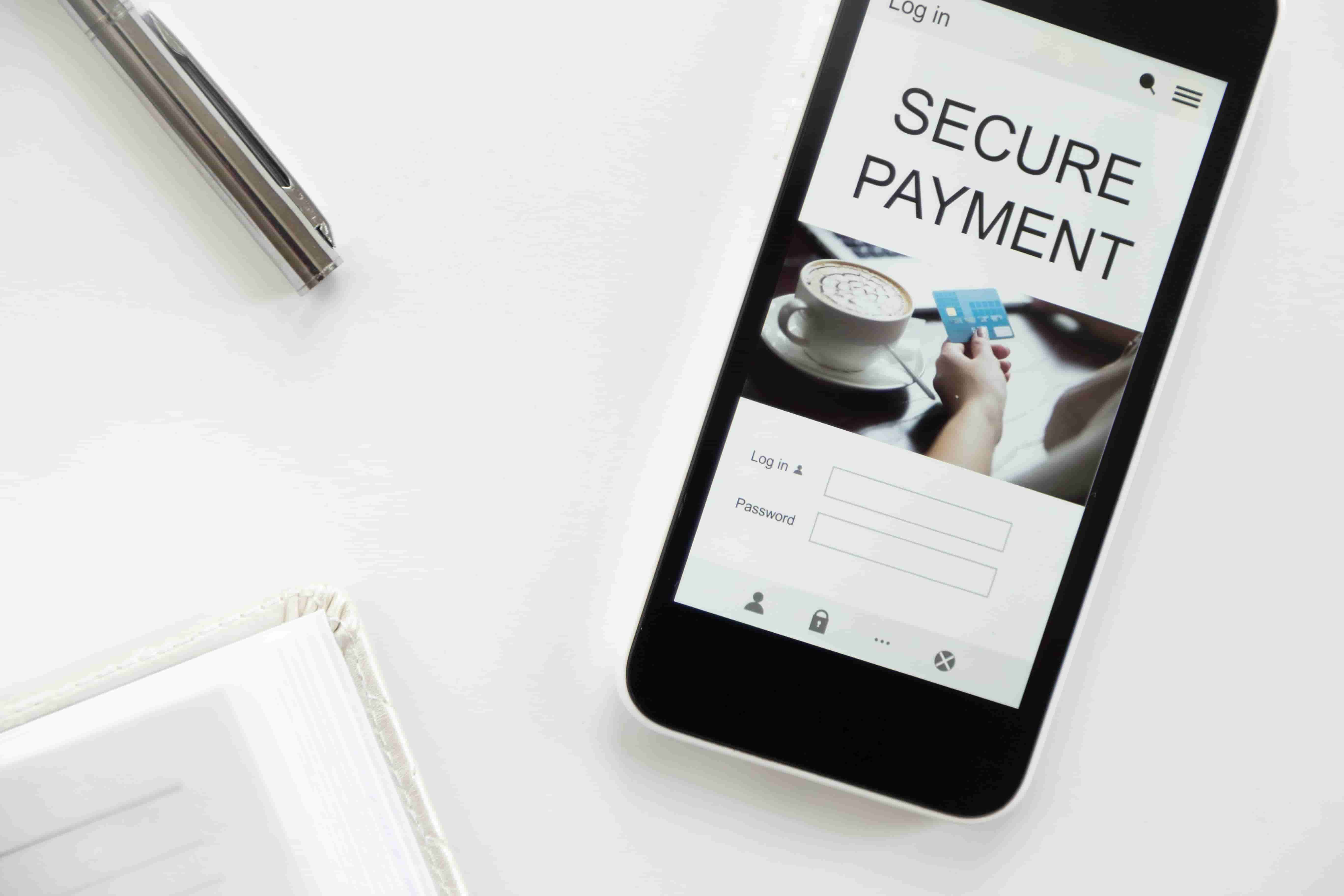 pushpal payments online