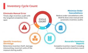 Warehouse Efficiency: Key Points About Warehouse Layout and Inventory